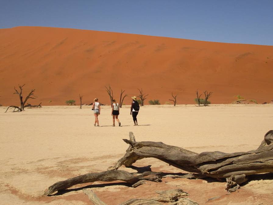 in the Dead Vlei / Namib-Naukluft National Park